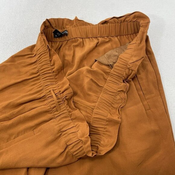 Eileen Fisher Women Pants Slacks Trousers Size L Fall Pumpkin Elastic Workwear - Picture 7 of 10